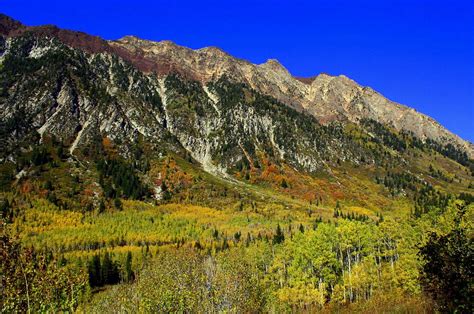 Beautiful 2010 Fall Colors in Little Cottonwood Canyon : Photos, Diagrams & Topos : SummitPost