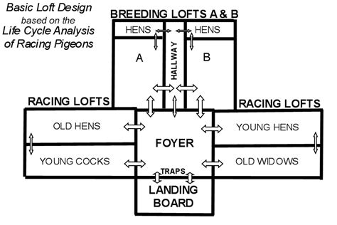 Loft Construction and Design | Winning Pigeon Racing and Racing Pigeons Strategies - Pigeon Insider