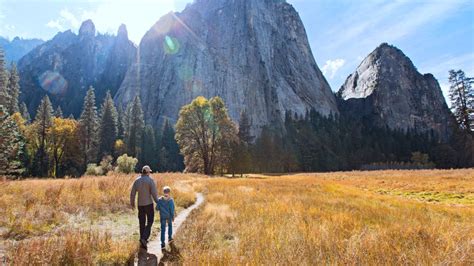 8 easy hikes in Yosemite National Park | Advnture