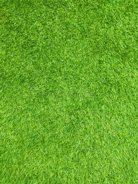 Green grass floor texture stock image. Image of floor - 138868661