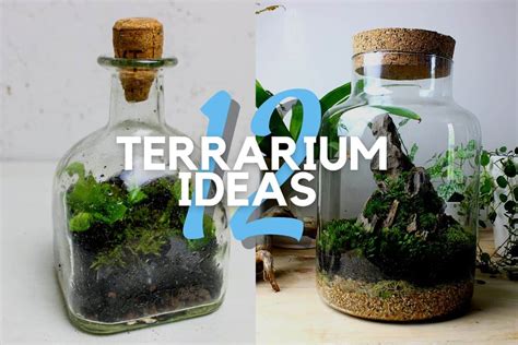 12+ Creative DIY Terrarium Ideas to Try - Get Your Craft On!