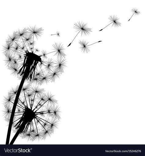 black silhouette of a dandelion on a white background. Download a Free Preview or High Quality ...