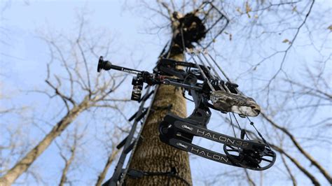 Best Compound Bow Quiver That Should Be On Your Bow - 2021 Review - Tactical Huntr