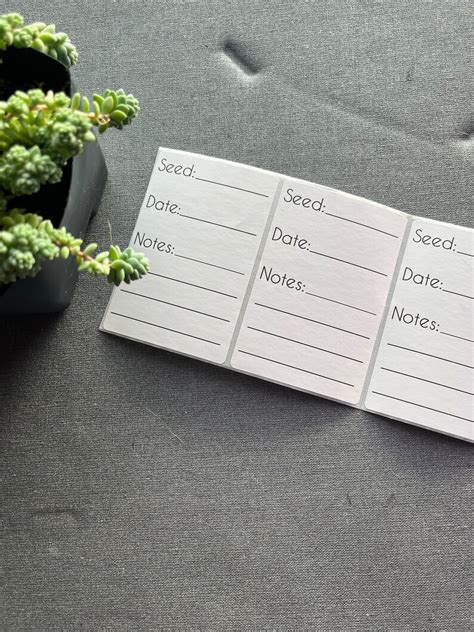 Seed Envelope Labels Seed Labels 2 X 3 Label Set of 5 - Etsy