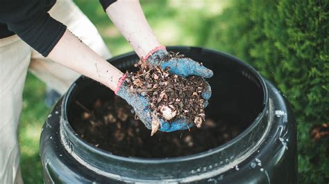 Composting: A Complete Beginner's Guide