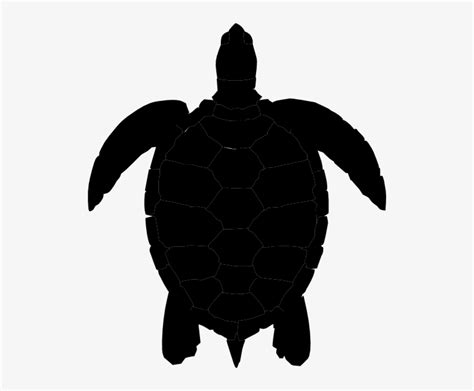Seahorse Clipart Sea Turtle Black And White Download - Sea Turtle ...