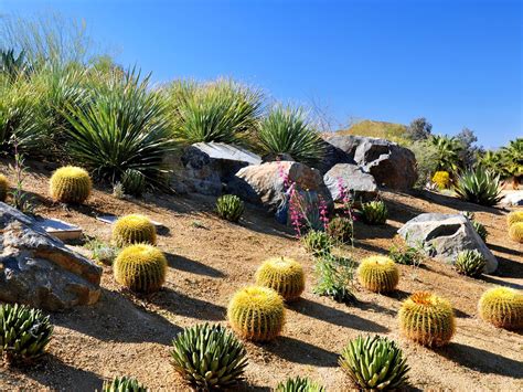 Top 5 Drought-Tolerant Landscaping Projects | Southwest Boulder