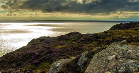 Scotland's moorland heading into uncertain future. - Moorland Association