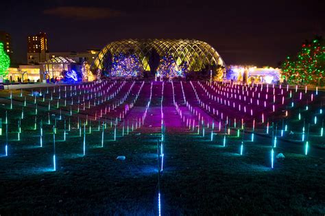 blossoms of light denver botanic gardens in 2020 | Blossom, Denver ...