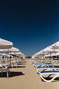 Royalty-Free photo: Umbrellas and lounge chairs on Sunny Beach, Bulgaria | PickPik