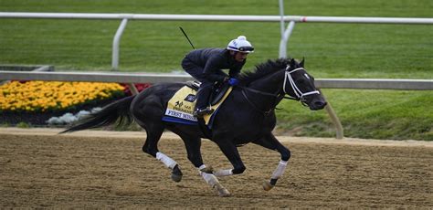 Preakness Stakes 2023: Latest Odds With First Mission Scratched