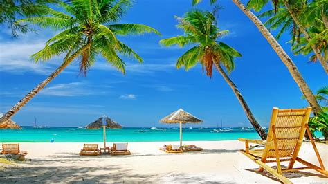 HD wallpaper: Tropical Beach Paradise-HD Desktop Wallpaper, palm tree ...