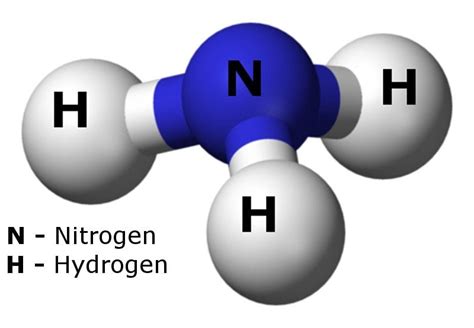 Is Ammonia An Acid Or Base? » ScienceABC