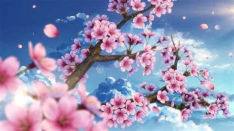 Anime Scenery Cherry Blossoms Background