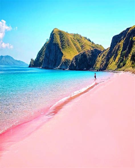 Pink beach explore komodo – Artofit