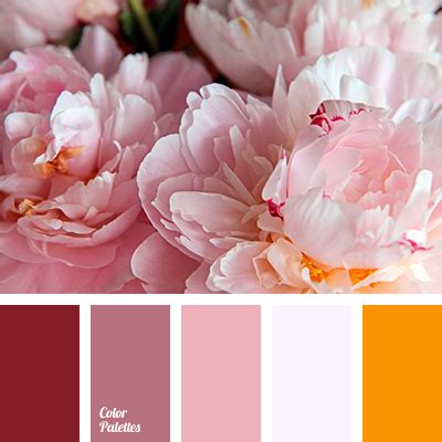 gentle shades of roses | Color Palette Ideas