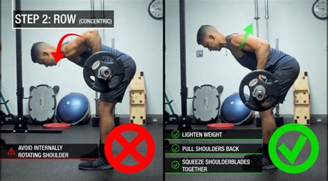 The Ultimate Guide On How To Do Barbell Rows To Build A Bigger Back ...