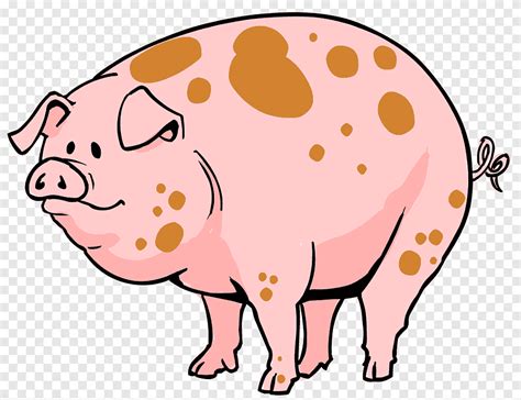 Puerco Dibujo Png - Download transparent jojo png for free on pngkey.com. - Jaleada Mapanfu