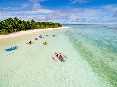 Christmas Island – Bird & Nature Week - Australian Geographic