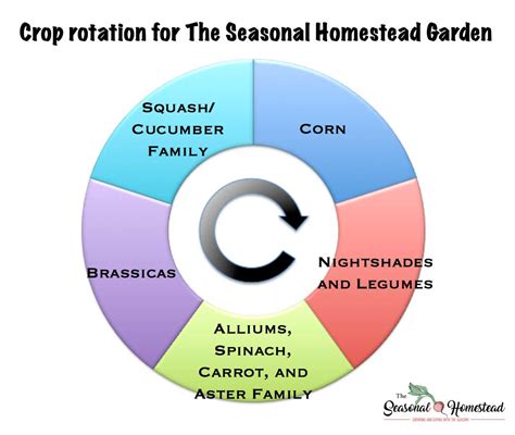 Rotating Garden Crops Chart | Fasci Garden