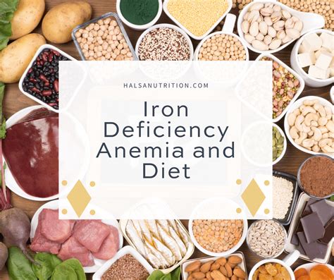 Diet Plan For Anemia: Nutrition And Foods To Manage Iron