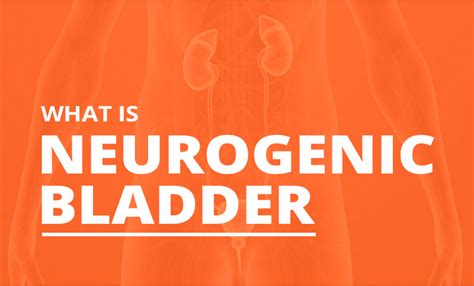 Neurogenic Bladder | Symptoms, Causes And Treatment