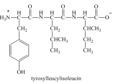 Solved: Consider the tripeptide tyrosylleucylisoleucine. a. Specify its structure using three ...