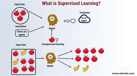 What is Supervised Learning? | Concise Guide to Supervised Learning