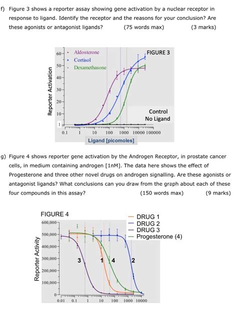 Solved f) Figure 3 shows a reporter assay showing gene | Chegg.com