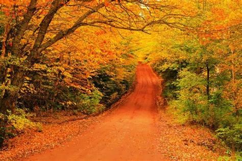 Leaf Peeper Paradise: Autumn's Best Colors | Prince edward island, Scenic, Green gables