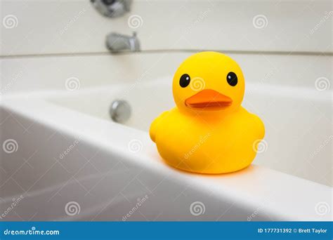 Yellow Rubber Duck Bath Toy Stock Photo - Image of colorful, floating ...