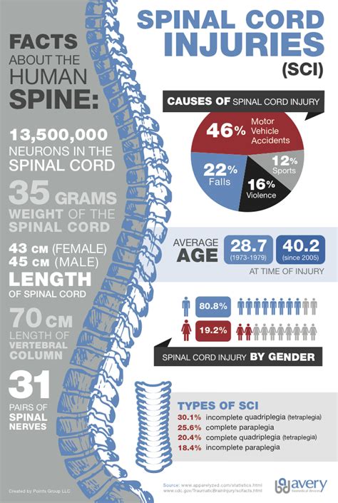 Spinal Cord Injuries