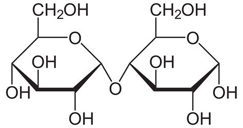 organic chemistry - How does the branched structure of glycogen ...