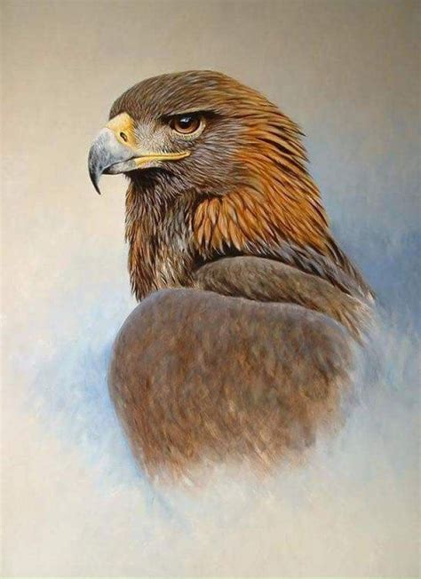 Pin by Bertha Fedier on Adler | Eagle painting, Eagle pictures, Eagle ...