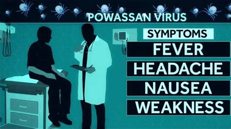 What is Powassan virus? Symptoms and treatment of the tick-borne disease