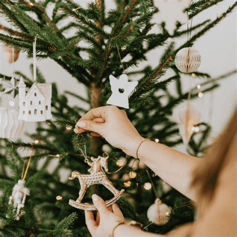 7 Amazing Sustainable Christmas Tree Ideas For Your Eco-Friendly ...