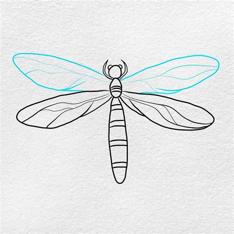 How to Draw a Dragonfly - HelloArtsy