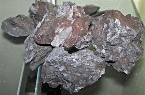 Lignite coal | (public display, Geology Department, Wittenbe… | Flickr