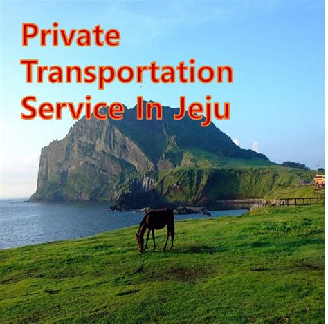 Private Bus Service In Jeju Island | Jeju Bus | Korea Transportation