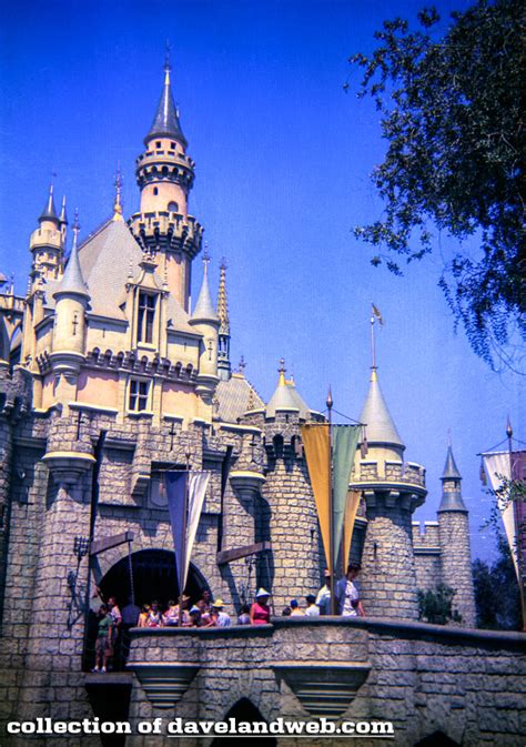 Daveland Disneyland Castle Photos