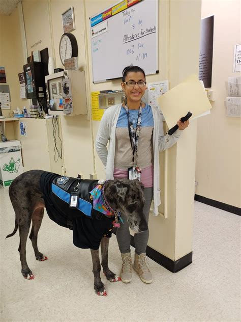 Lincoln Middle School is Now Home to SCSD’s First Service Dog | The Syracuse City School ...