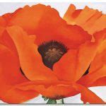 Red Poppy - O'Keeffe Paintings | Famous Art @ Canvas Paintings