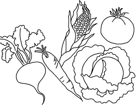 Printable Coloring Pages Vegetables