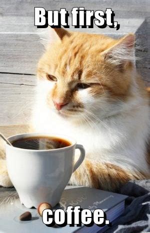 But first, coffee. - Lolcats - lol | cat memes | funny cats | funny cat pictures with words on ...