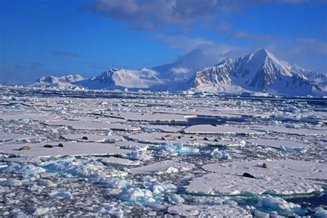 Ice Age: The Otherworldly Landscapes and Locals of Antarctica ...