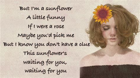 Sunflower - Shannon Purser lyrics Chords - Chordify