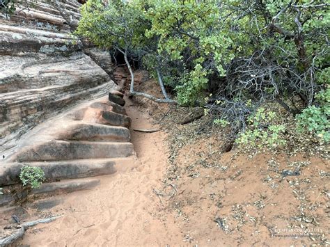 Snow Canyon Petroglyphs - Utah Hiking Beauty