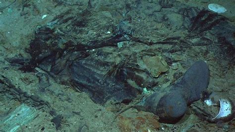 Human remains pictured at Titanic shipwreck site