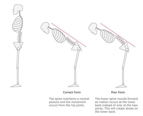 Exercise Spotlight: Hip Hinge — Endurance Physio Missoula Physical Therapy