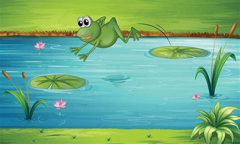 A Frog Jumping Forg Vector Reeds Vector, Forg, Vector, Reeds PNG and Vector with Transparent ...